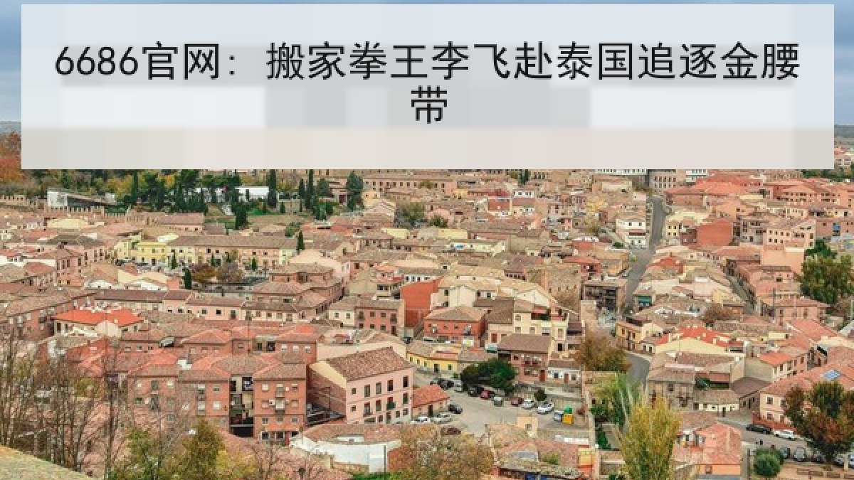 6686官网: 搬家拳王李飞赴泰国追逐金腰带