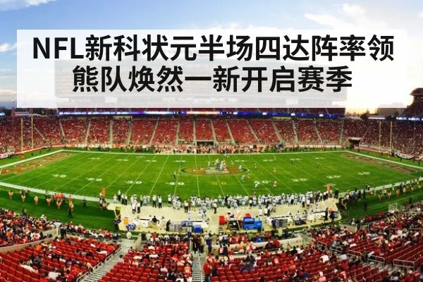 NFL stadium crowd